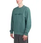Carhartt WIP Duster Sweat (Grün)