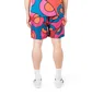 Parra Serpent Pattern Swimshorts (Multi)