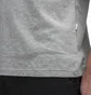 Aimé Leon Dore Flocked Logo Graphic Tee (Grau)