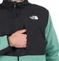 The North Face Denali Jacket (Schwarz / Grün)