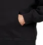 Pleasures Protection Premium Hoody (Schwarz)
