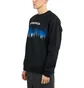 Pleasures Forest Premium Crewneck (Schwarz)