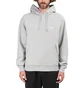 Stüssy Stock Logo Hood (Grau)
