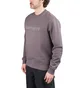 Carhartt Rivet Script Sweat (Grau)