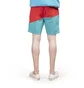 Aimé Leon Dore Color Blocked Hiking Shorts (Rot / Blau)