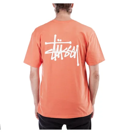Stüssy Basic Stüssy Tee (Orange)