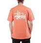 Stüssy Basic Stüssy Tee (Orange)