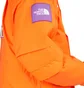 The North Face CTAE Expedition Parka (Orange)