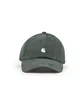 Carhartt WIP Harlem Cap (Grün)