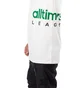 adidas Skateboarding x Alltimers T-Shirt (Weiß)