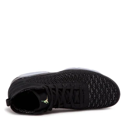 Air Jordan Flyknit Elevation 23 (Schwarz / Silber)