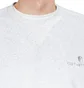 Carhartt WIP United Script Sweatshirt (Grau)