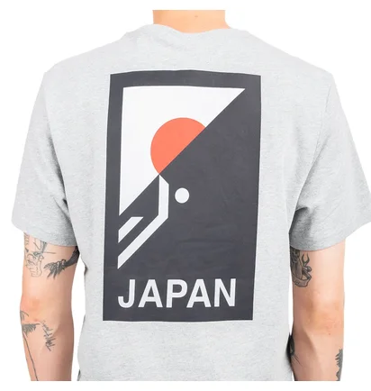 The North Face International Collection Climb GR T-Shirt (Hellgrau)