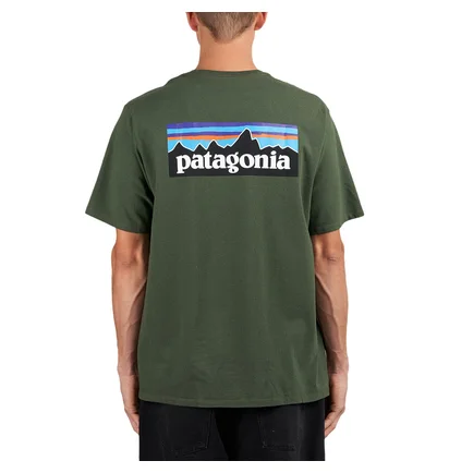Patagonia P-6 Logo Responsibili-Tee (Grün)