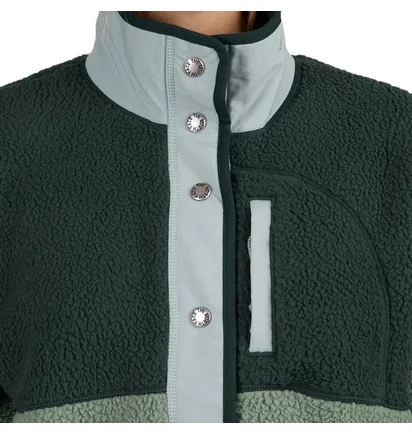 The North Face Cragmont Fleece Jacket (Grün)