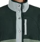 The North Face Cragmont Fleece Jacket (Grün)