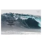 Gestalten: Surf Odyssey