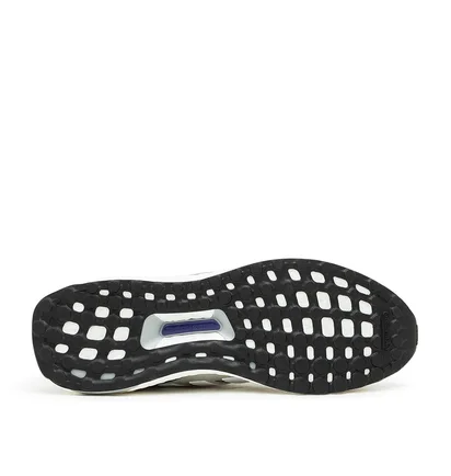 adidas Ultraboost 1.0 DNA (Grau)