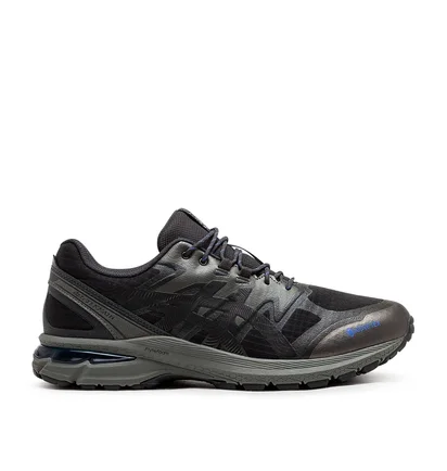 Asics Gel-Terrain GTX (Grau)