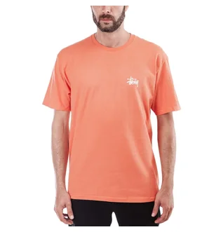 Stüssy Basic Stüssy Tee (Orange)