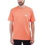Stüssy Basic Stüssy Tee (Orange)