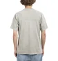Carhartt WIP S/S Ashfield T-Shirt (Grau)