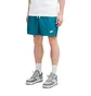 Nike Woven Shorts (Türkis)