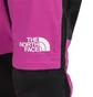 The North Face 7 Summits Futurelight Pants (Lila / Schwarz)