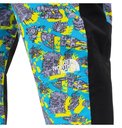The North Face Black Box Track Pant (Schwarz / Multi)