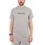 Aimé Leon Dore SS Script Tee (Grau)