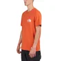 The North Face Berkeley California Pocket Tee (Orange)