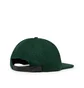 Pleasures x Playboy Wool Strapback Cap (Grün)