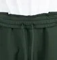 Stüssy Stock Logo Pant (Grün)