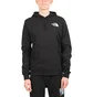 The North Face International Collection Classic Climb Hoodie (Schwarz)