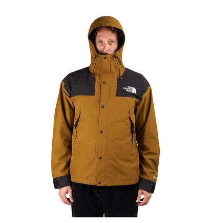 The North Face GTX Mountain Jacket (Oliv)