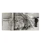 Taschen Strandbeest The Dream Machines of Theo Jansen