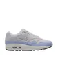 Nike WMNS Air Max 1 Premium SC (Grau)