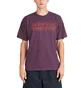 Obey Mental Hygiene Heavyweight T-Shirt (Burgunder)