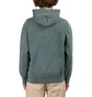 Carhartt WIP Hooded Ashfield Sweat (Grün)