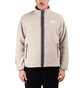 The North Face Fleeski Full Zip Jacket (Grau)