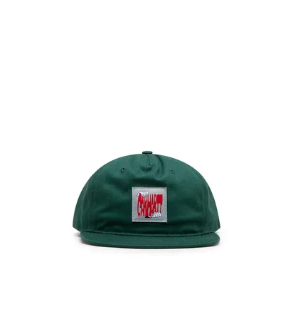 Carhartt WIP Stretch Cap (Grün)