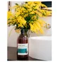 Océopin Washing Gel for Body and Hair (500ml)