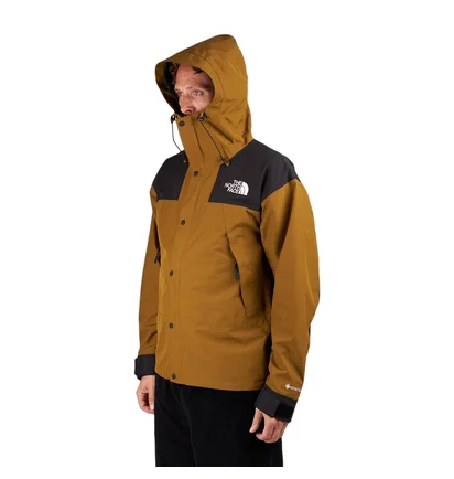 The North Face GTX Mountain Jacket (Oliv)