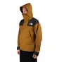 The North Face GTX Mountain Jacket (Oliv)