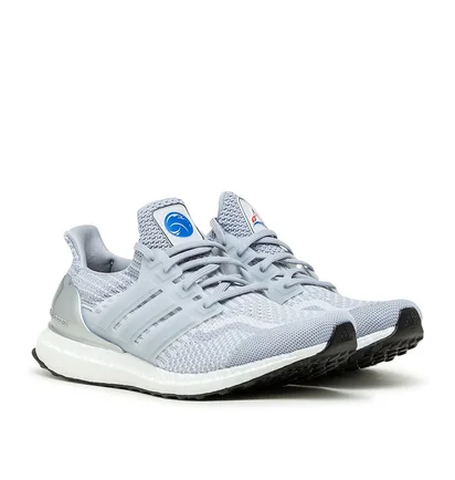adidas x NASA Ultraboost DNA 5.0 (Grau / Silber / Weiß)