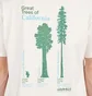 Gramicci Cali Trees Tee (Weiß)