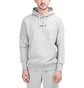 Aimé Leon Dore Logo Hoodie (Hellgrau)