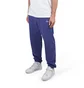 Dime Classic Small Logo Sweatpants (Blau)