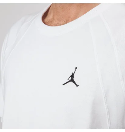 Nike Air Jordan Sportswear Wings Lite T-Shirt (Weiß)