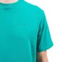 Aimé Leon Dore Logo T-Shirt (Grün)